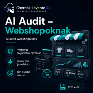 Ai Audit Webshopoknak