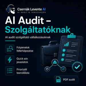 Ai Audit Szolgáltatóknak